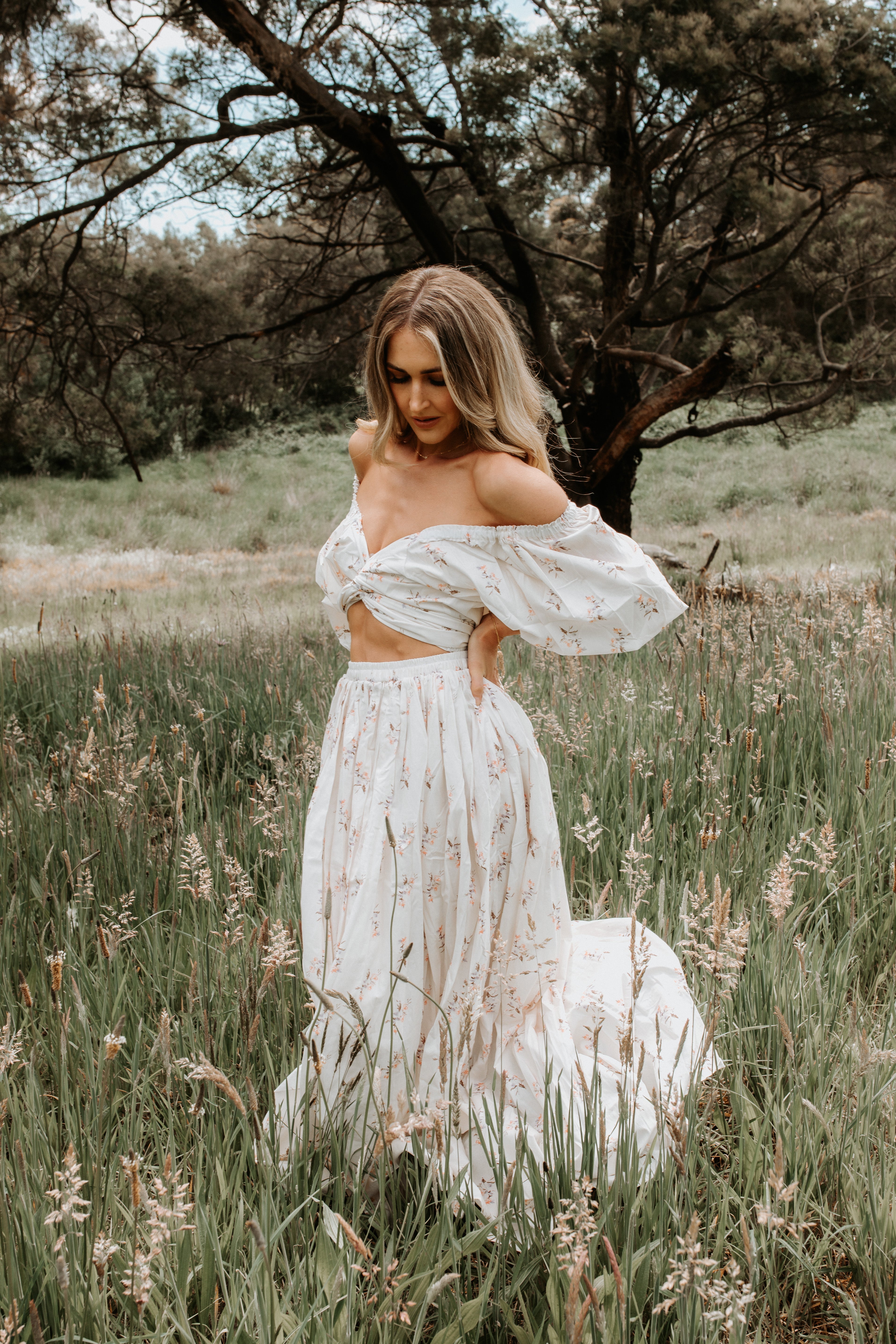 ROSEWATER PRINT